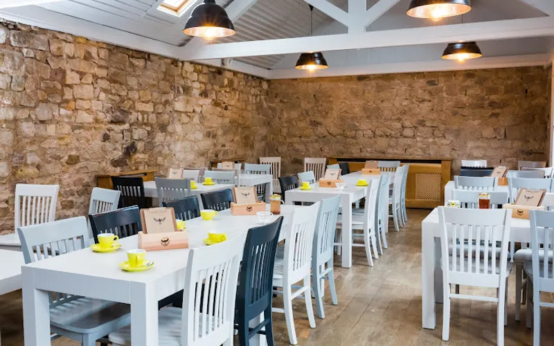 Restaurant: Starling in Harrogate - Other cuisine