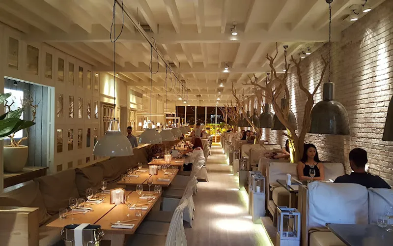 Restaurant: Australasia in City Centre - Other cuisine