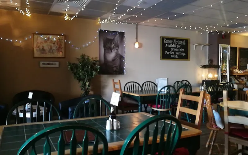 Restaurant: Super Natural Newcastle in City Centre - Other cuisine